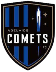 阿德莱德彗星